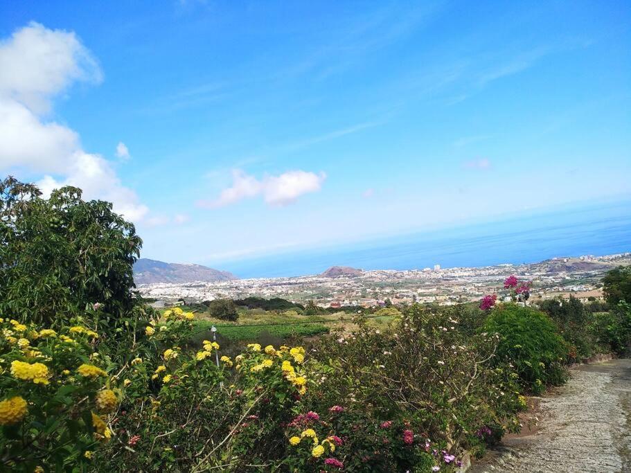 Apartment With Huge Deck Nestled In Marvelous Gardens - Nidos La Orotava Εξωτερικό φωτογραφία