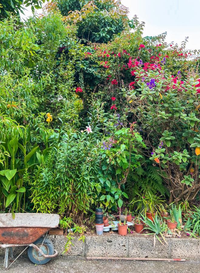 Apartment With Huge Deck Nestled In Marvelous Gardens - Nidos La Orotava Εξωτερικό φωτογραφία