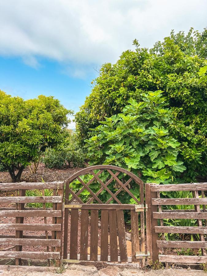 Apartment With Huge Deck Nestled In Marvelous Gardens - Nidos La Orotava Εξωτερικό φωτογραφία