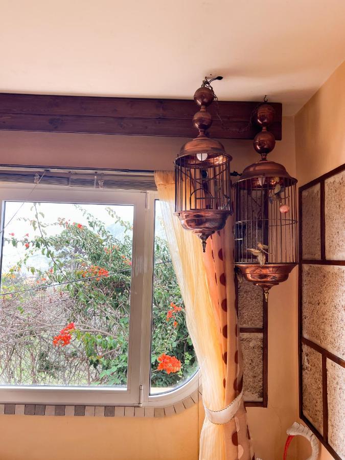 Apartment With Huge Deck Nestled In Marvelous Gardens - Nidos La Orotava Εξωτερικό φωτογραφία